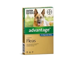 Christmas deals:Advantage: Dog & Cat Flea Control