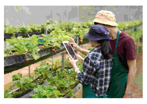 Cultivating Innovation: Your Premier Farming Application Development Partner