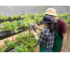 Cultivating Innovation: Your Premier Farming Application Development Partner