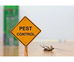 Pest Control Torquay