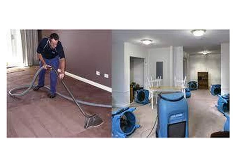 Professional Water Damaged Carpet Drying Services in Melbourne