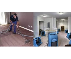 Professional Water Damaged Carpet Drying Services in Melbourne
