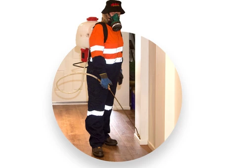 Pest Control Newcastle