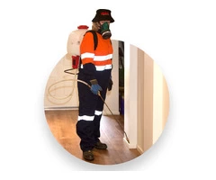 Pest Control Newcastle