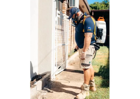 Cockroach Pest Control