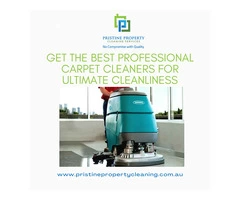 Get the Best Professional Carpet Cleaners for Ultimate Cleanliness