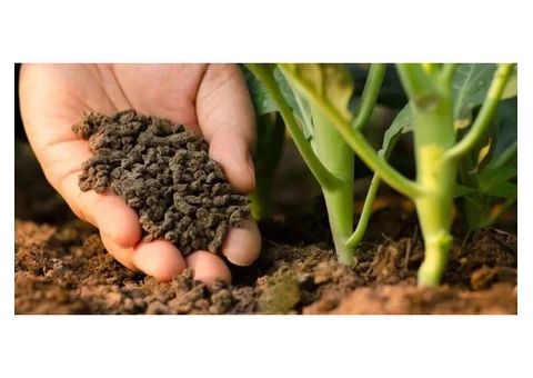 Transform Your Soil: Expert Soil Remediation and Advisory Services in Melbourne