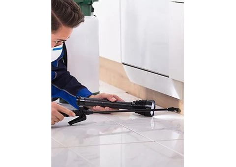 Were you looking for top-notch pest control services in Sydney? - 1/3