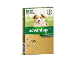 Buy Advantage Flea Control for Cats and Dogs Online | VetSupply