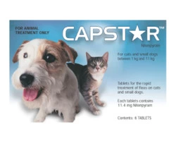 Buy Capstar Flea Treatment for Dogs and Cats Online at VetSupply