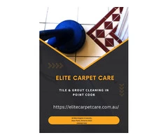 Tile & Grout cleaning point cook