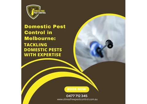 Domestic Pest Control in Melbourne: Tackling Domestic Pests With Expertise