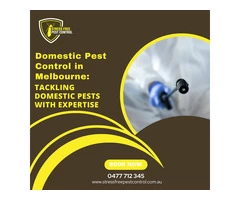 Domestic Pest Control in Melbourne: Tackling Domestic Pests With Expertise