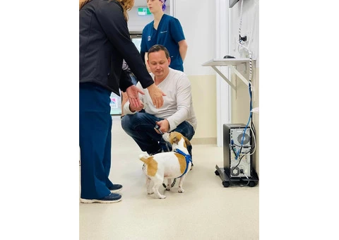 Emergency Vet Clinic in South lake