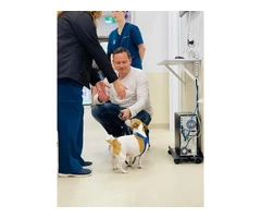 Emergency Vet Clinic in South lake