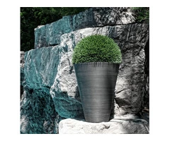 Enhance Your Greenery: Stylish Indoor Planters by Designer Plants!