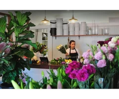 Flower Shop Moonee Ponds