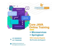 Online IT degree programs  || Professional Courses || Software Courses