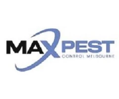 Certified Pest Removal Expert in Melbourne