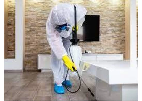 Experienced Pest Exterminators in Elwood