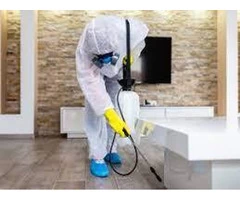 Experienced Pest Exterminators in Elwood