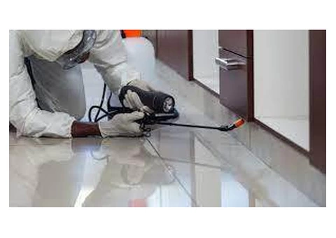 Trustworthy Pest Control in Bentleigh Area