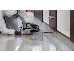 Trustworthy Pest Control in Bentleigh Area