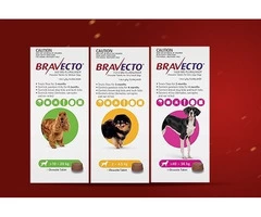 Unlock Unbeatable Deals on Top-notch Pet Care Products on this Christmas