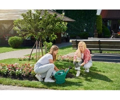 Is your garden up for a complete renovation?