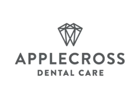 Business Description