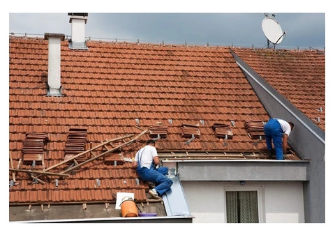 Roof Painting - 2/2