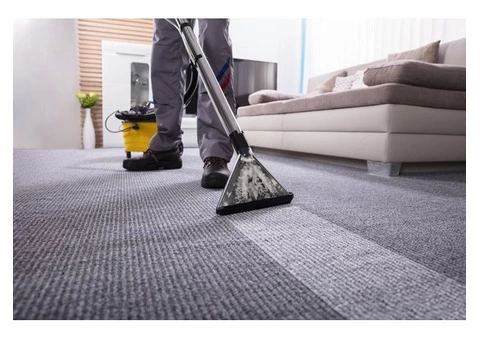 Best Carpet Cleaning In Frankston