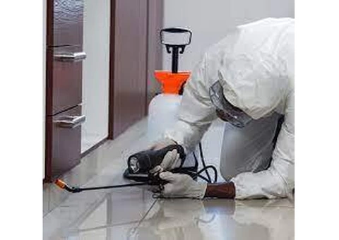 Ultimate Pest Control Solutions in Ivanhoe