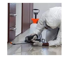 Ultimate Pest Control Solutions in Ivanhoe