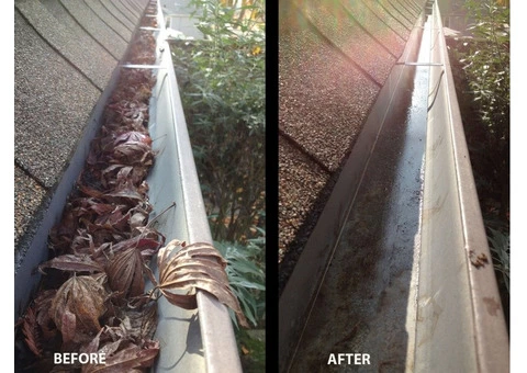 Gutter Cleaning Services Near Me