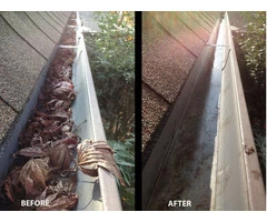 Gutter Cleaning Services Near Me