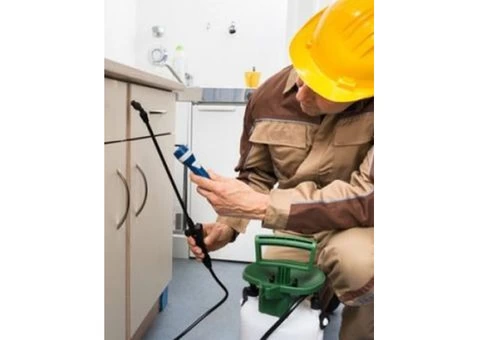Effective Commercial Pest Control Services Across Sydney's Suburbs