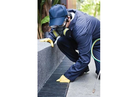 Effective Commercial Pest Control Services Across Sydney's Suburbs - 2/2