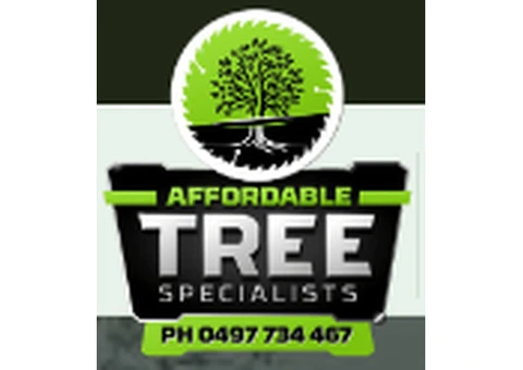 Hervey Bay's Premier Tree Removal Company - Affordable Tree Specialists