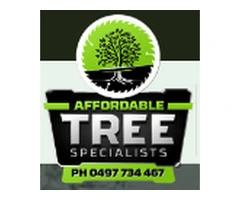 Hervey Bay's Premier Tree Removal Company - Affordable Tree Specialists