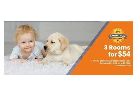 Looking for a Professional Carpet Cleaning Hillside, VIC?