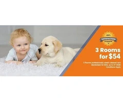 Looking for a Professional Carpet Cleaning Hillside, VIC?