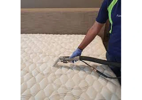 Adelaide's Trusted Mattress Disinfection Services