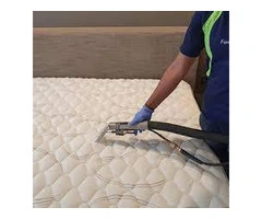 Adelaide's Trusted Mattress Disinfection Services