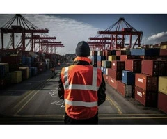 Expert Customs Clearance Services in Melbourne