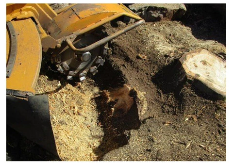 Stump Removal Adelaide