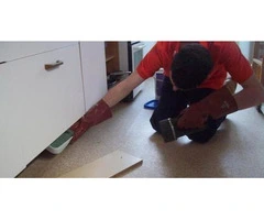 Pеst Control Sеrvicеs in Sydney - Kееping Your Homе Rеgal and Pеst-Frее