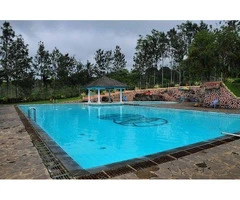 Swimming Pool Inspection