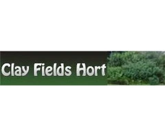 Expert Shrub Moving Services: Unlocking the Secrets of Seamless Shrub Relocation in Hampton