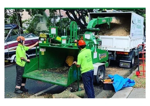 Tree Removal North Sydney